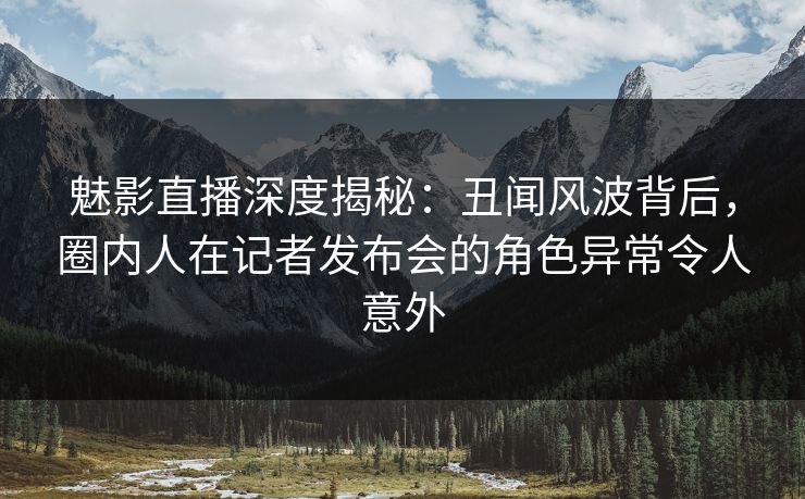 魅影直播深度揭秘：丑闻风波背后，圈内人在记者发布会的角色异常令人意外