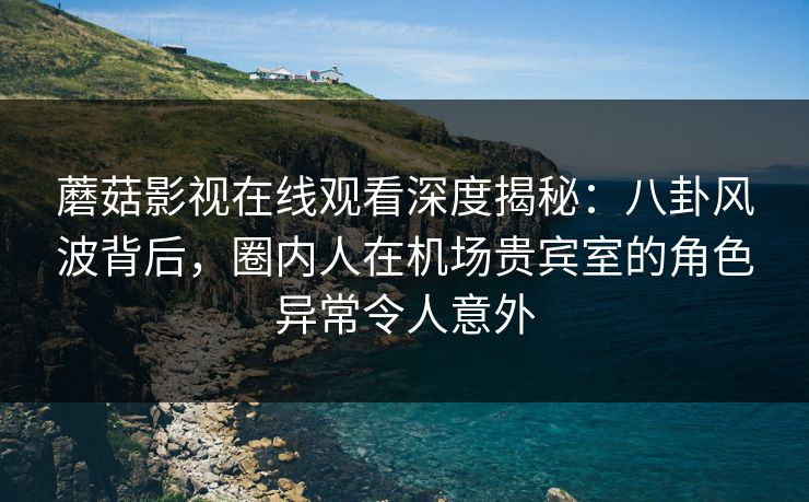 蘑菇影视在线观看深度揭秘：八卦风波背后，圈内人在机场贵宾室的角色异常令人意外