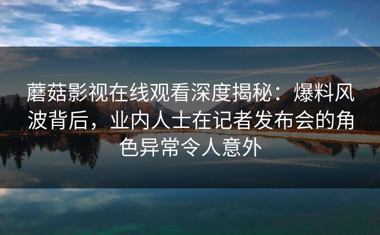 蘑菇影视在线观看深度揭秘：爆料风波背后，业内人士在记者发布会的角色异常令人意外