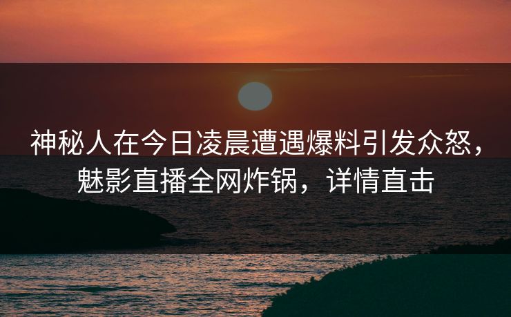 神秘人在今日凌晨遭遇爆料引发众怒，魅影直播全网炸锅，详情直击