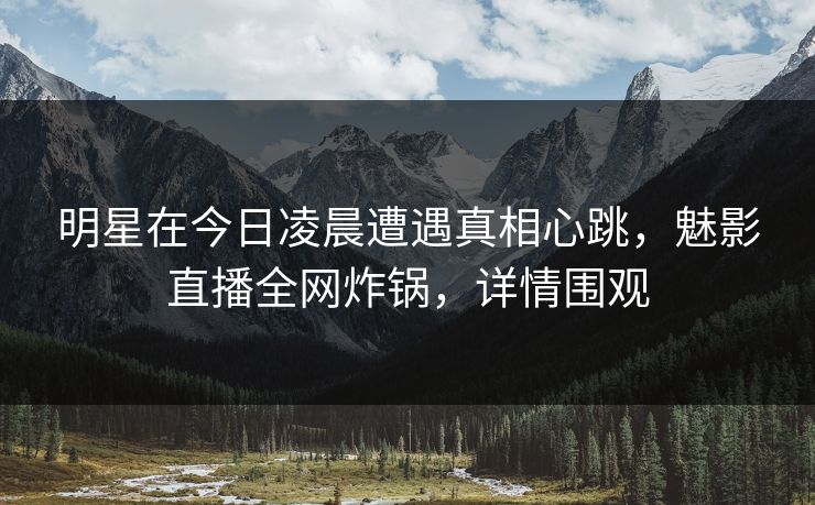 明星在今日凌晨遭遇真相心跳，魅影直播全网炸锅，详情围观
